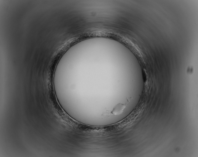 X0000100880306200806201153