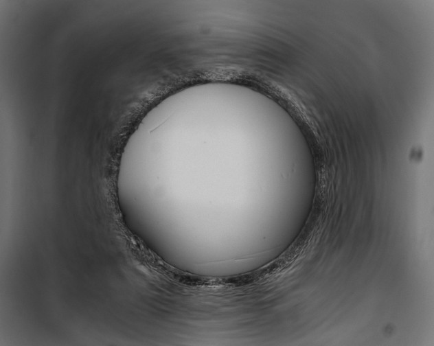 X0000100880307200806201153