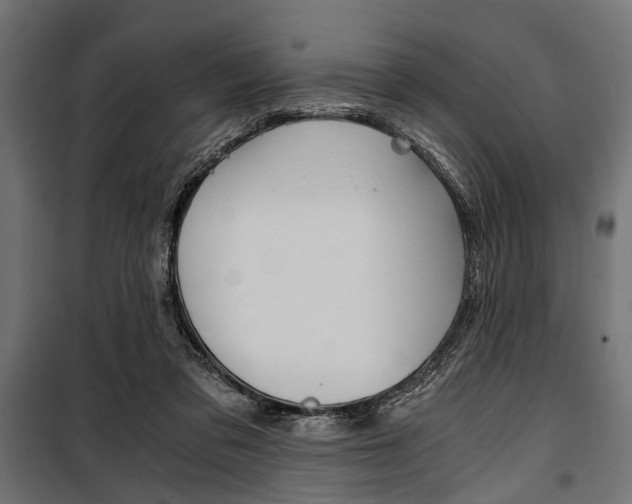 X0000100880309200806201153