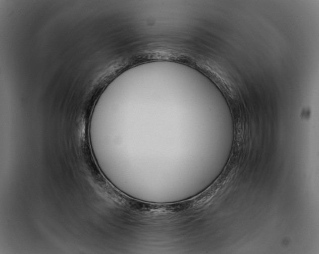 X0000100880310200806201153