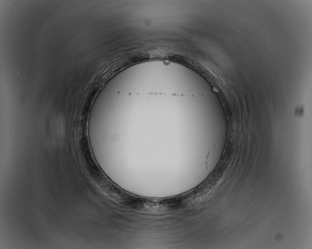 X0000100880311200806201153