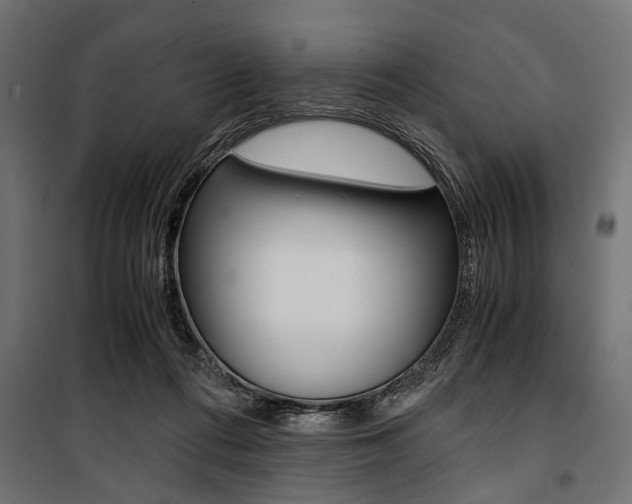 X0000100880312200806201153