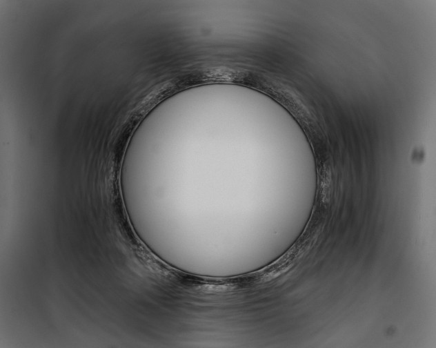 X0000100880314200806201153
