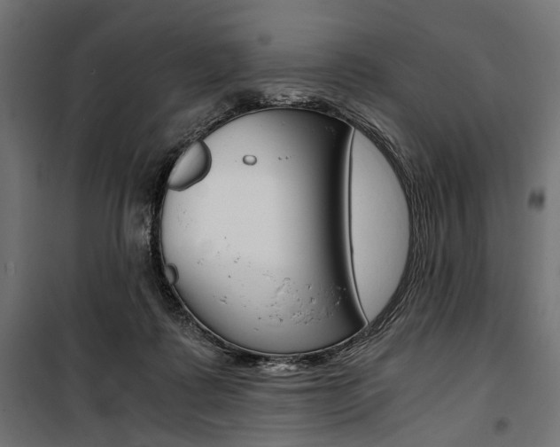 X0000100880315200806201153
