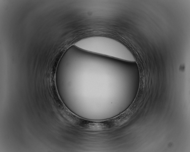 X0000100880316200806201153