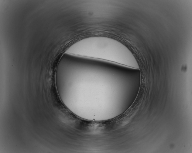 X0000100880319200806201153