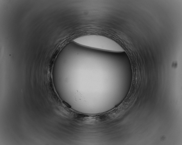 X0000100880320200806201153