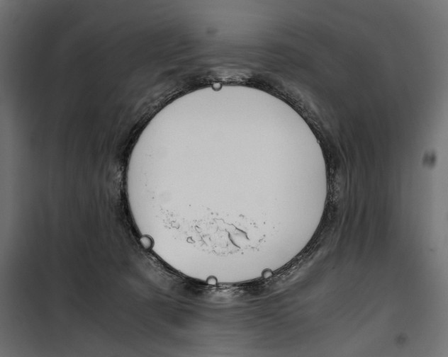 X0000100880321200806201153