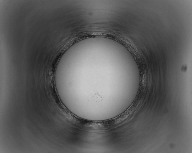 X0000100880322200806201153