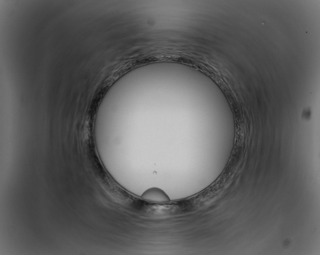 X0000100880323200806201153
