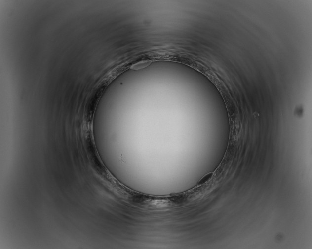 X0000100880324200806201153