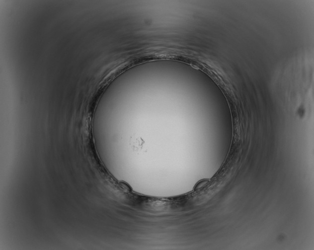 X0000100880325200806201153