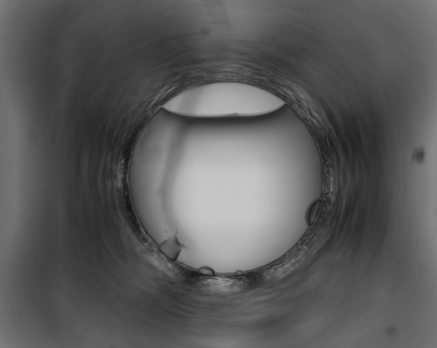 X0000100880326200806201153