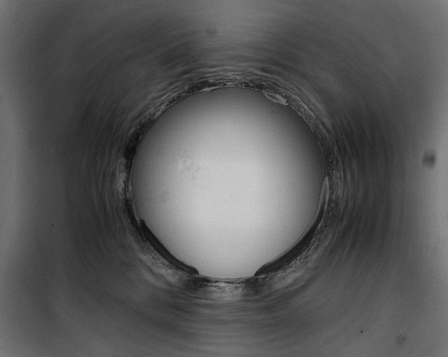 X0000100880328200806201153