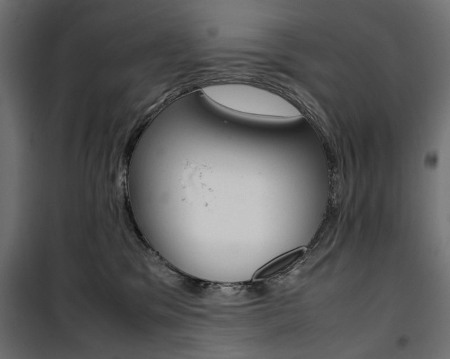 X0000100880329200806201153