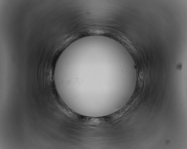 X0000100880330200806201153