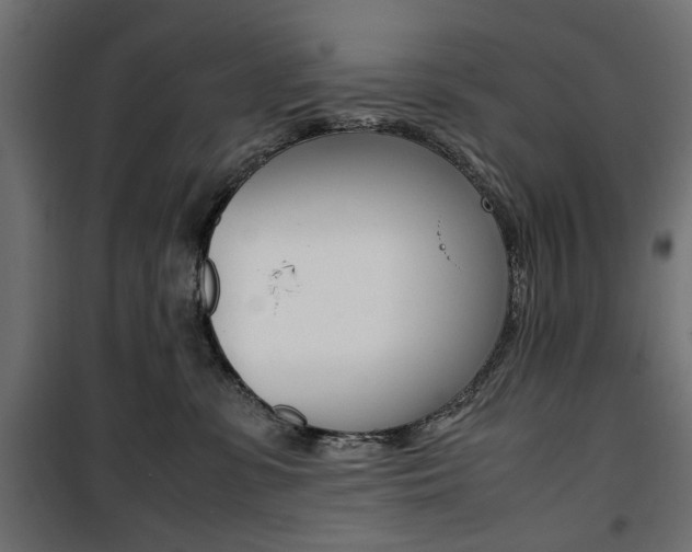 X0000100880331200806201153