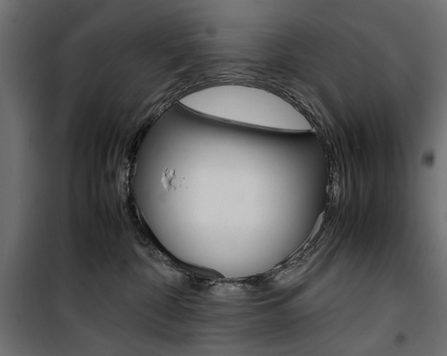 X0000100880332200806201153