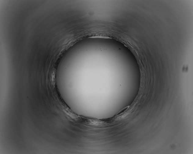 X0000100880336200806201153