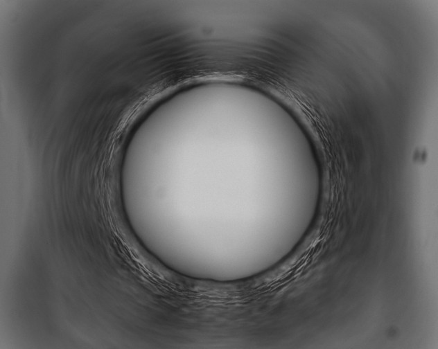 X0000100880337200806201152