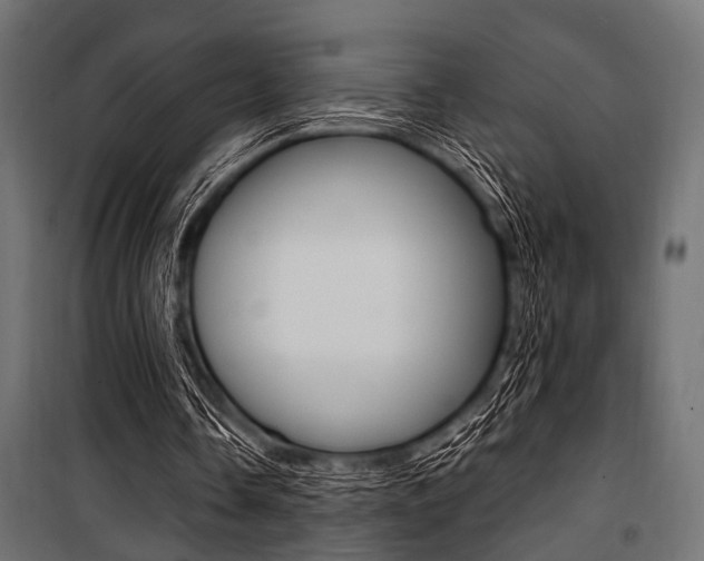 X0000100880338200806201152