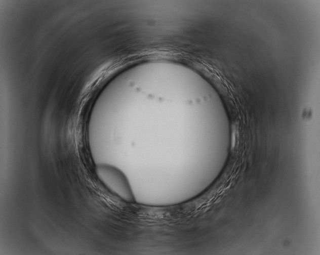 X0000100880339200806201152