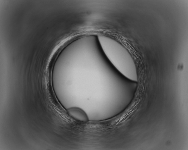 X0000100880342200806201152