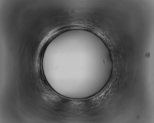 X0000100880343200806201152