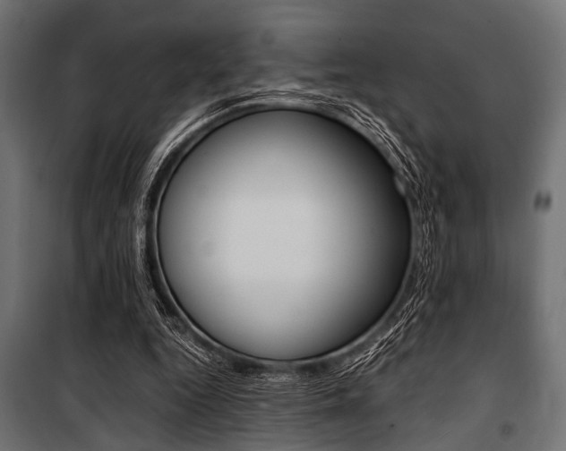 X0000100880344200806201152