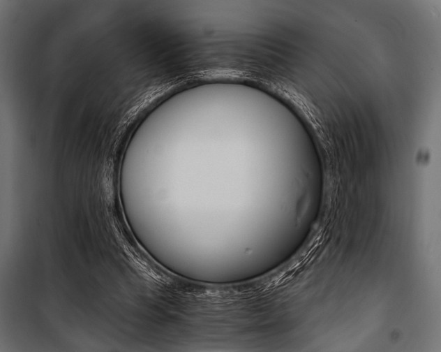 X0000100880345200806201152