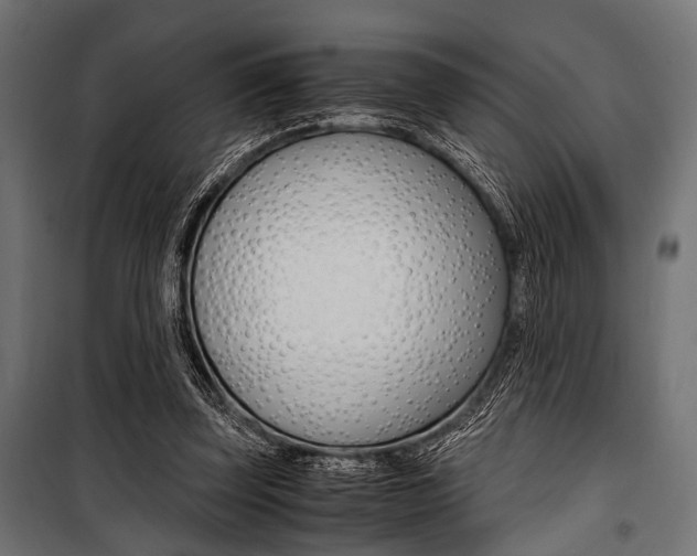 X0000100880347200806201152