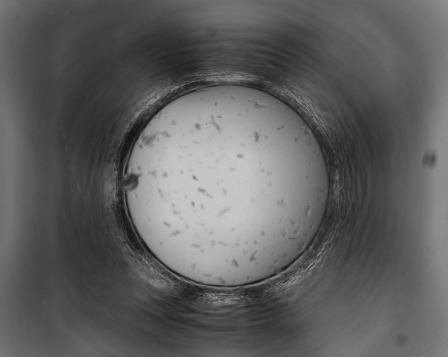 X0000100880351200806201152