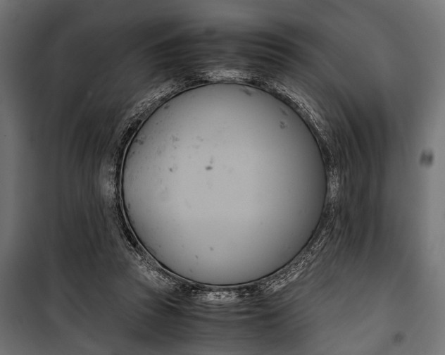 X0000100880353200806201152