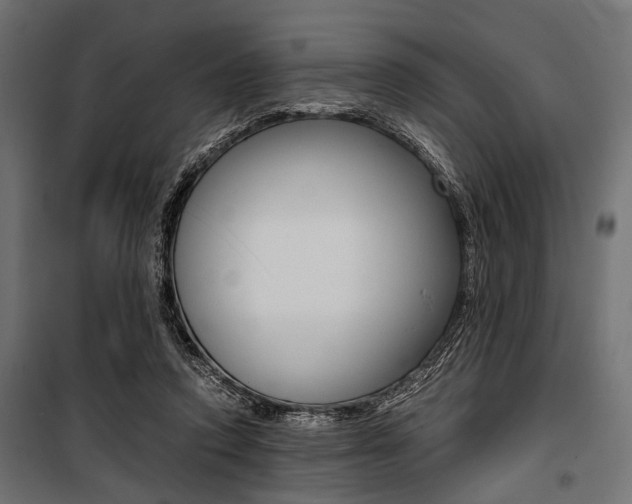 X0000100880354200806201152