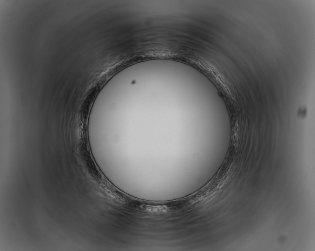 X0000100880355200806201152