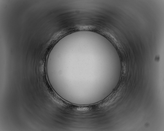X0000100880357200806201152