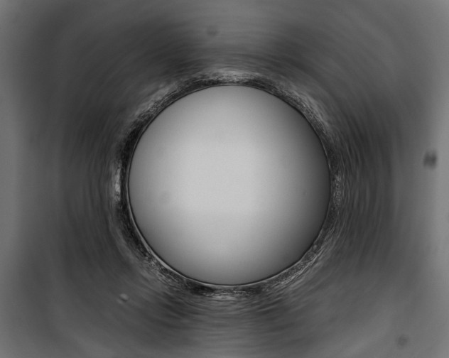 X0000100880358200806201152