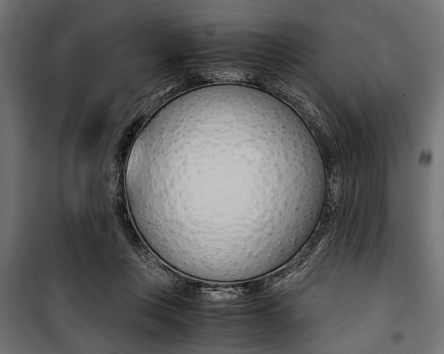 X0000100880359200806201152