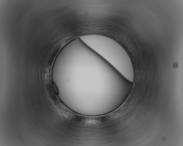 X0000100880360200806201152