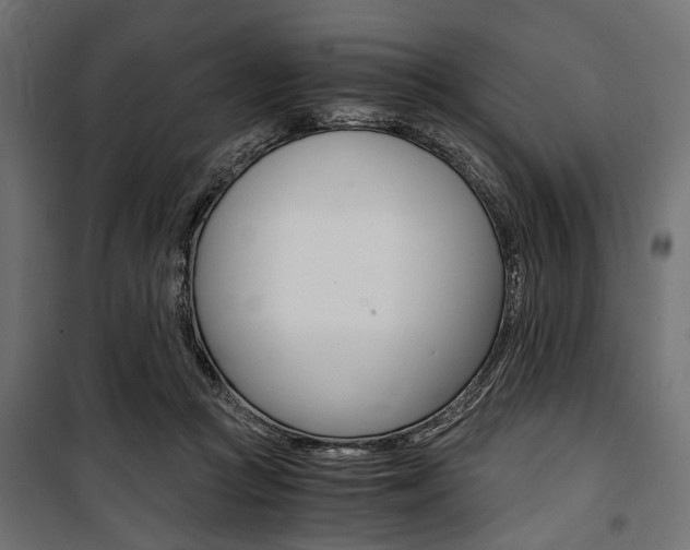 X0000100880361200806201152