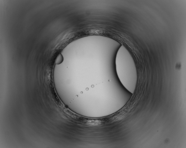 X0000100880363200806201152