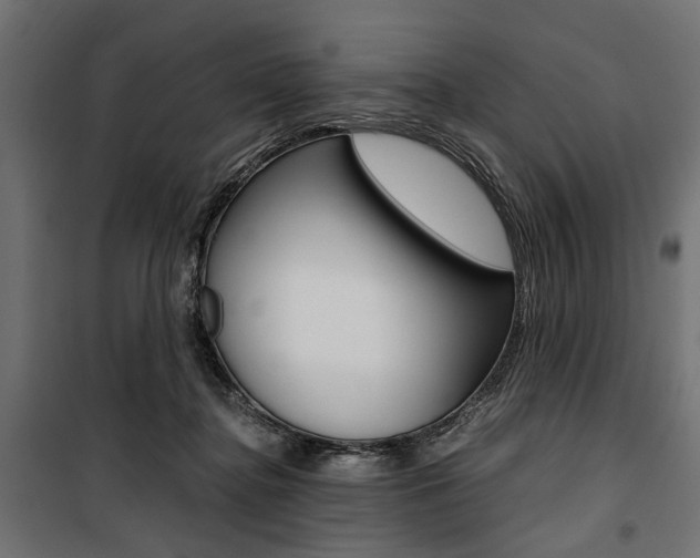 X0000100880364200806201152