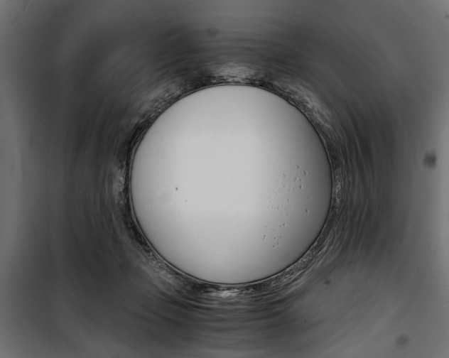 X0000100880365200806201152