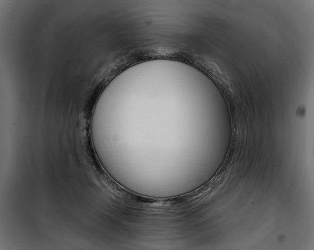 X0000100880366200806201152