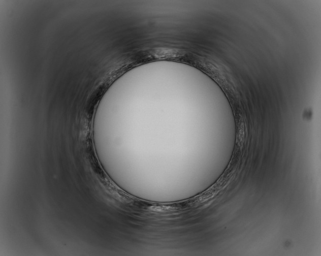 X0000100880367200806201152