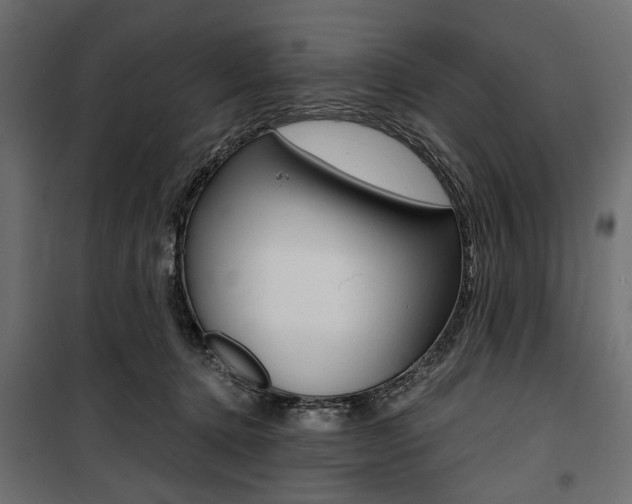 X0000100880368200806201152