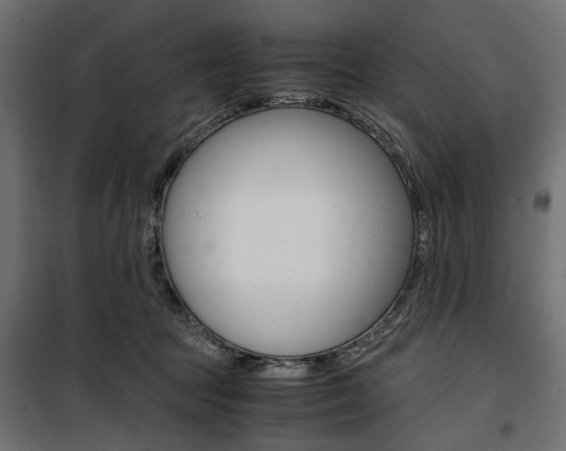 X0000100880369200806201152