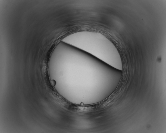 X0000100880371200806201152