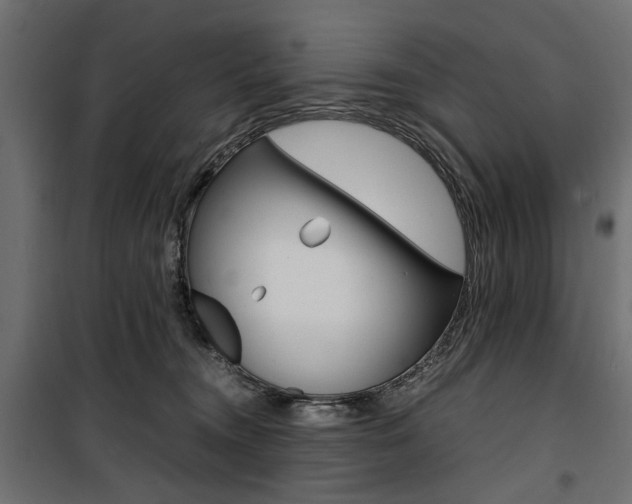 X0000100880372200806201152