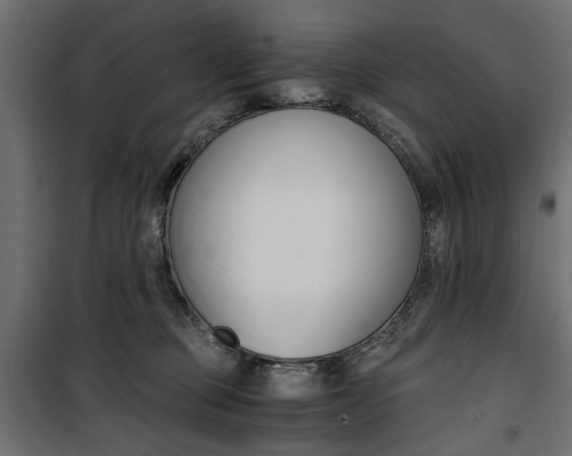 X0000100880373200806201152